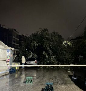 Ηράκλειο: Έπεσε δέντρο από την κακοκαιρία στην οδό Κουντουριώτου