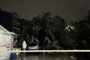 Ηράκλειο: Έπεσε δέντρο από την κακοκαιρία στην οδό Κουντουριώτου