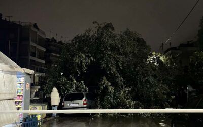 Ηράκλειο: Έπεσε δέντρο από την κακοκαιρία στην οδό Κουντουριώτου
