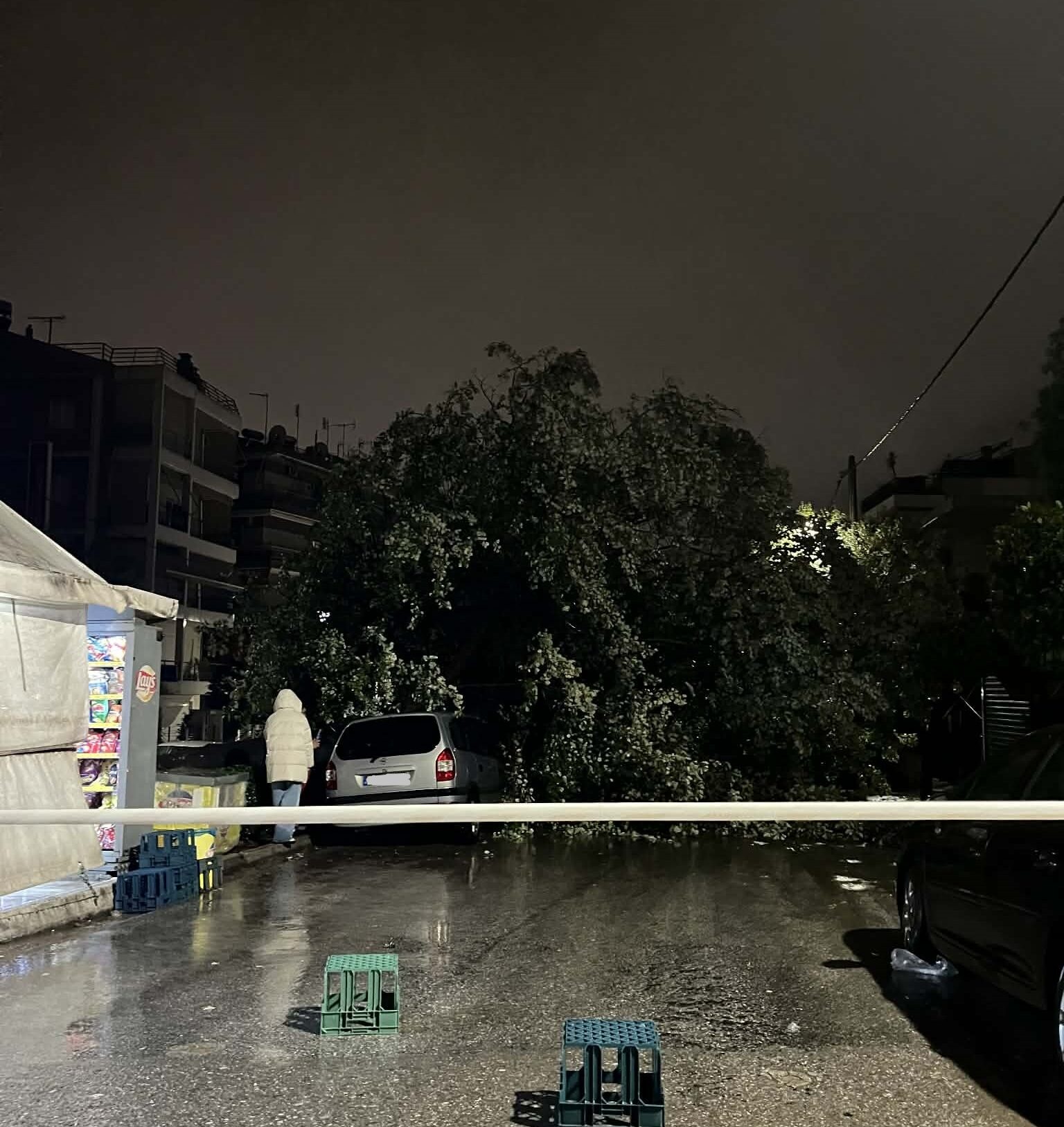 Ηράκλειο: Έπεσε δέντρο από την κακοκαιρία στην οδό Κουντουριώτου